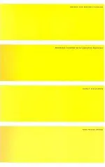 Colors for Modern Fashion